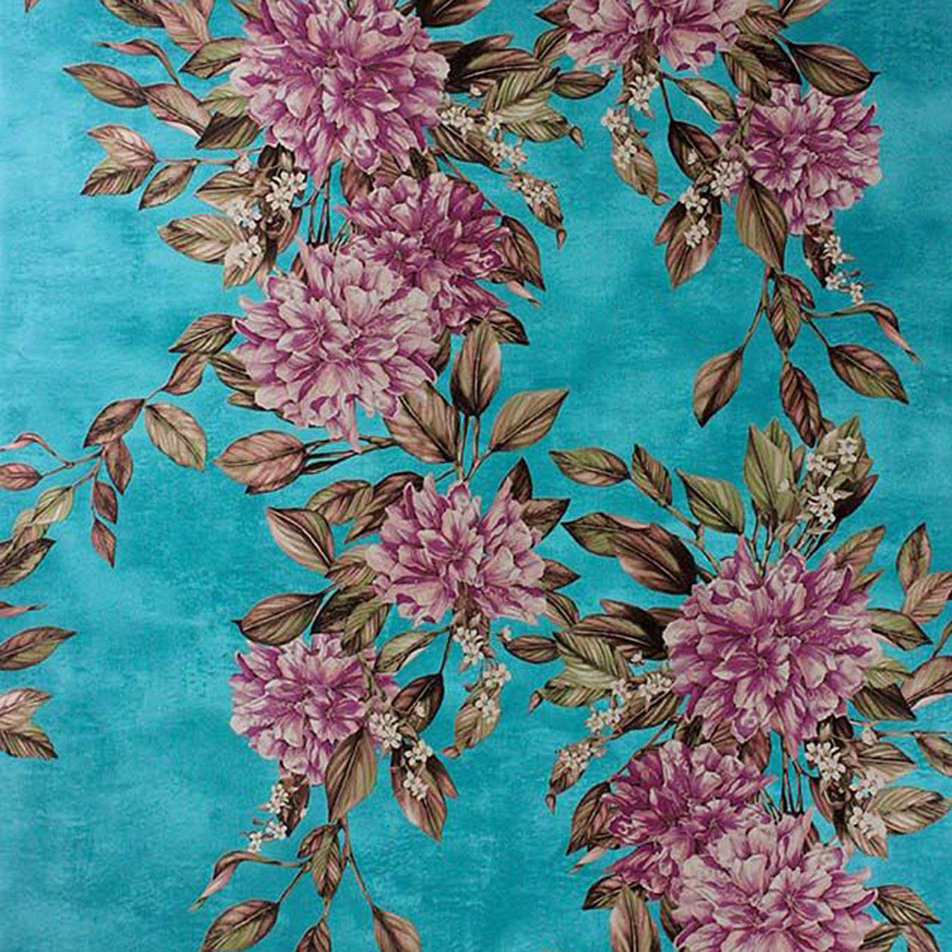 RHODORA
