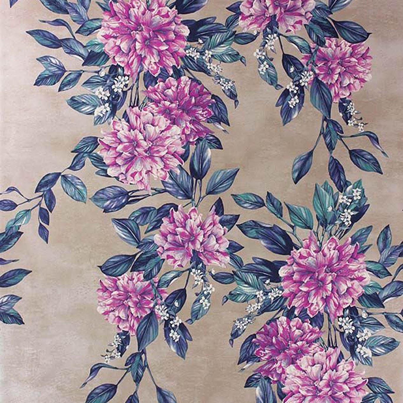 RHODORA