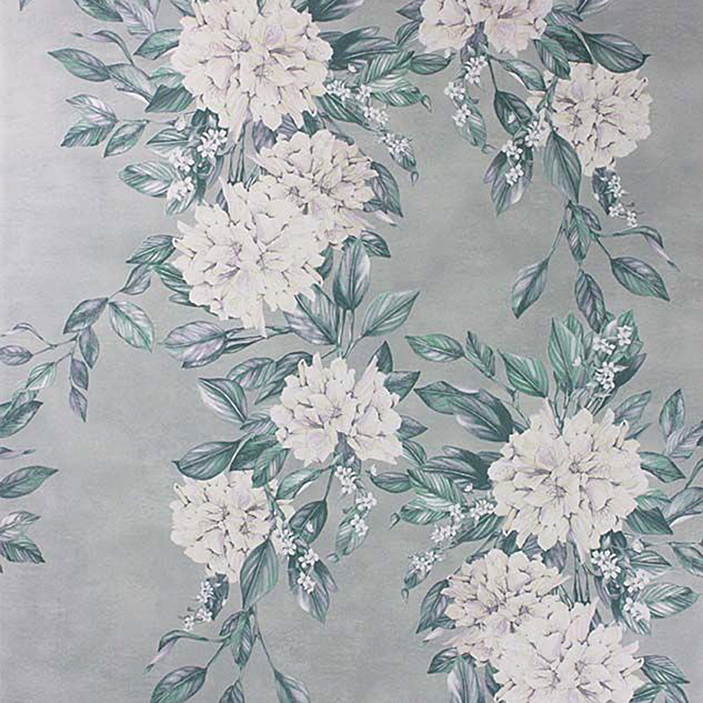 RHODORA