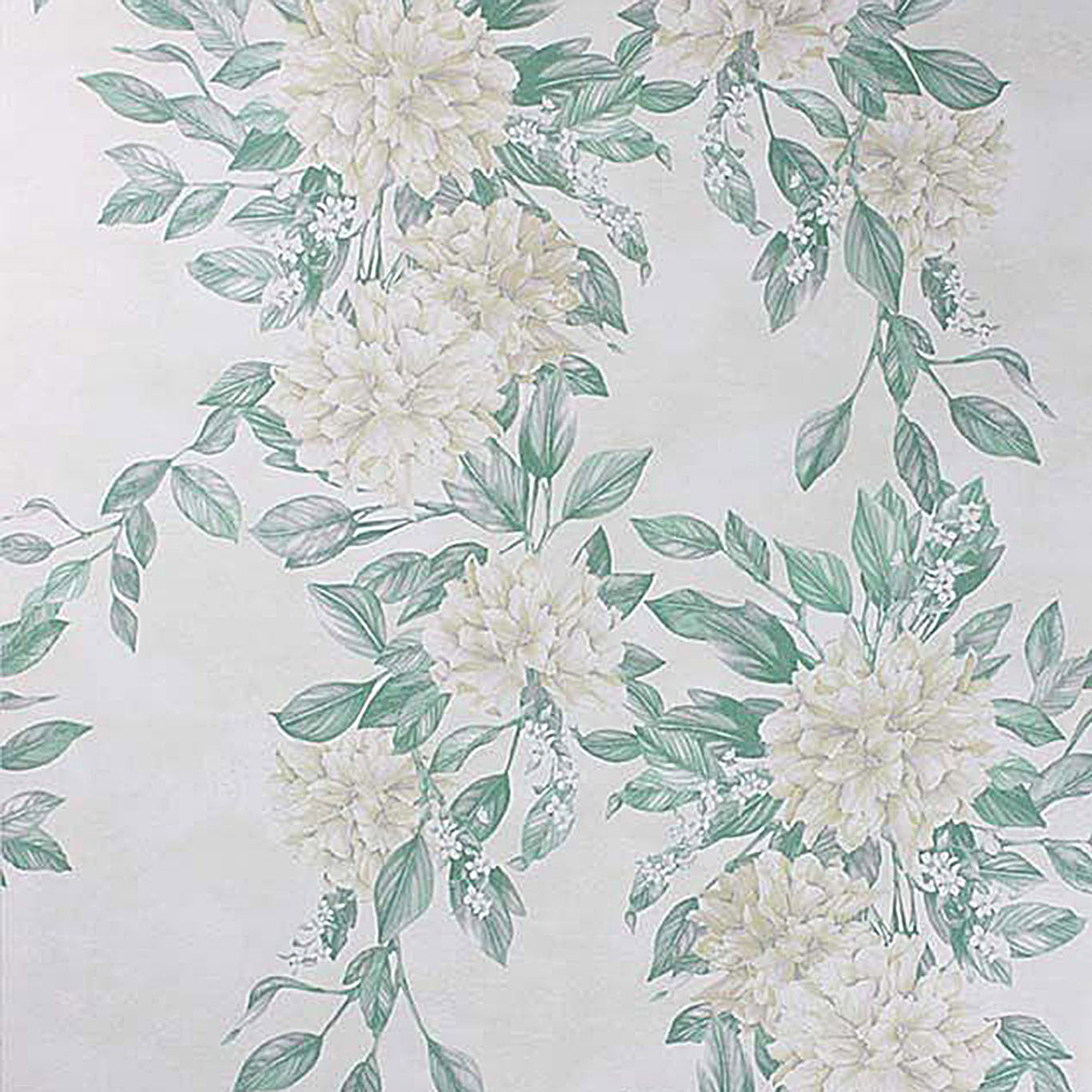RHODORA