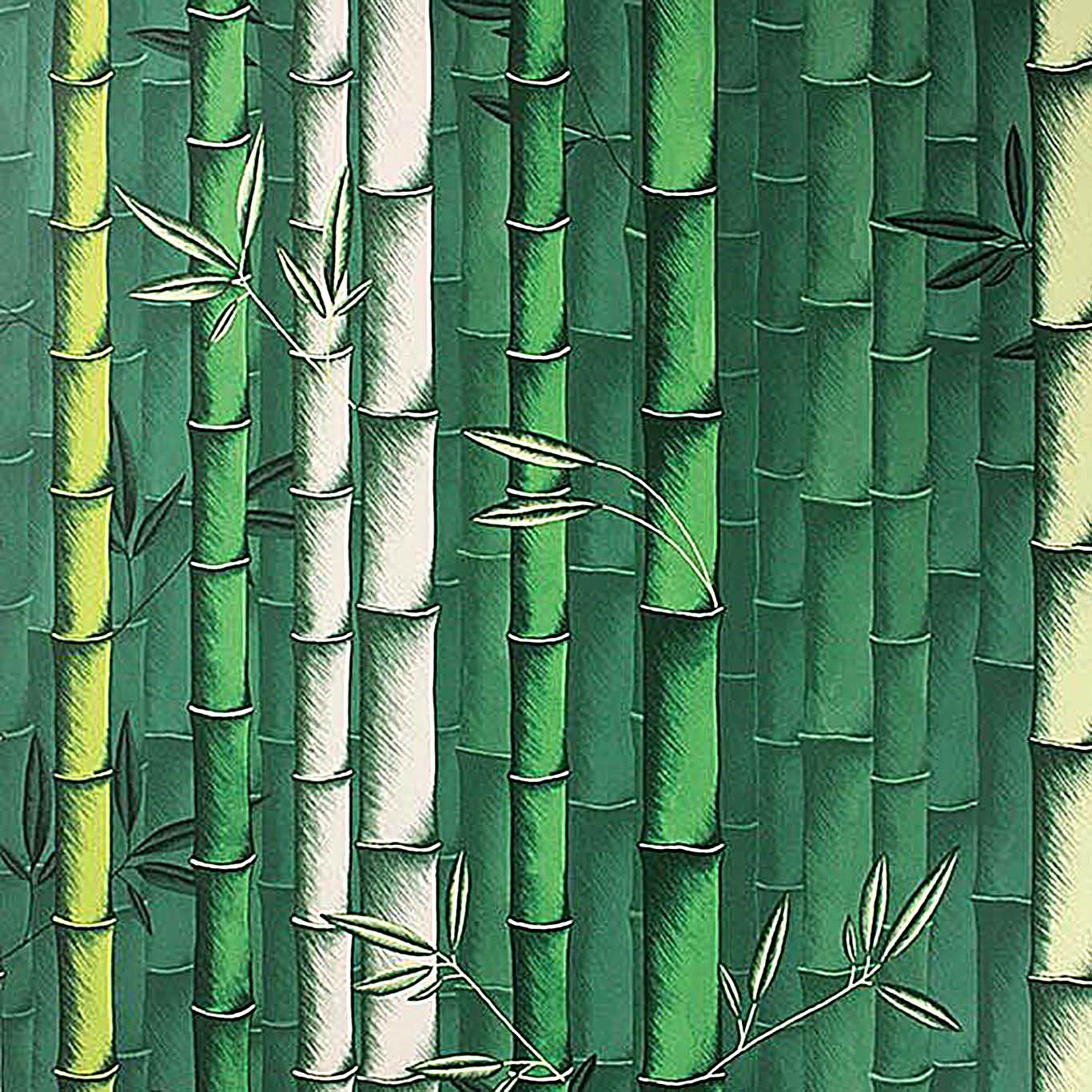 BAMBOO