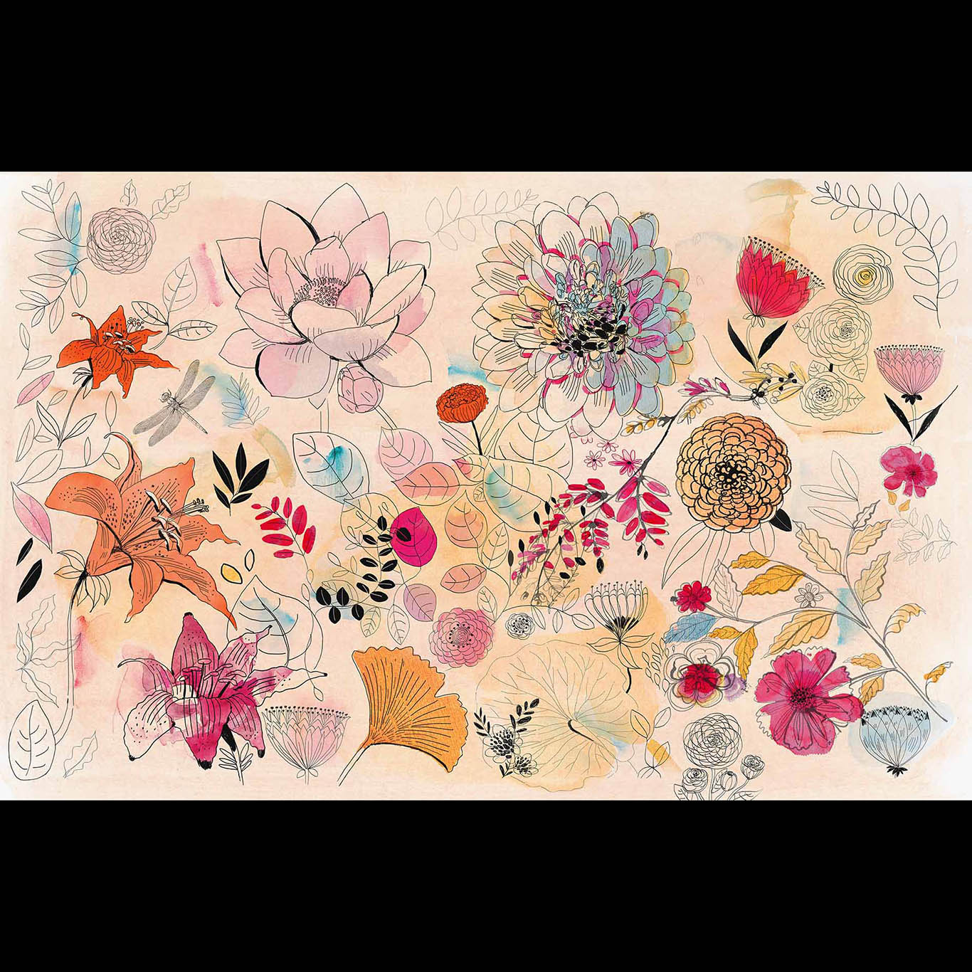 Watercolor illustration flowers