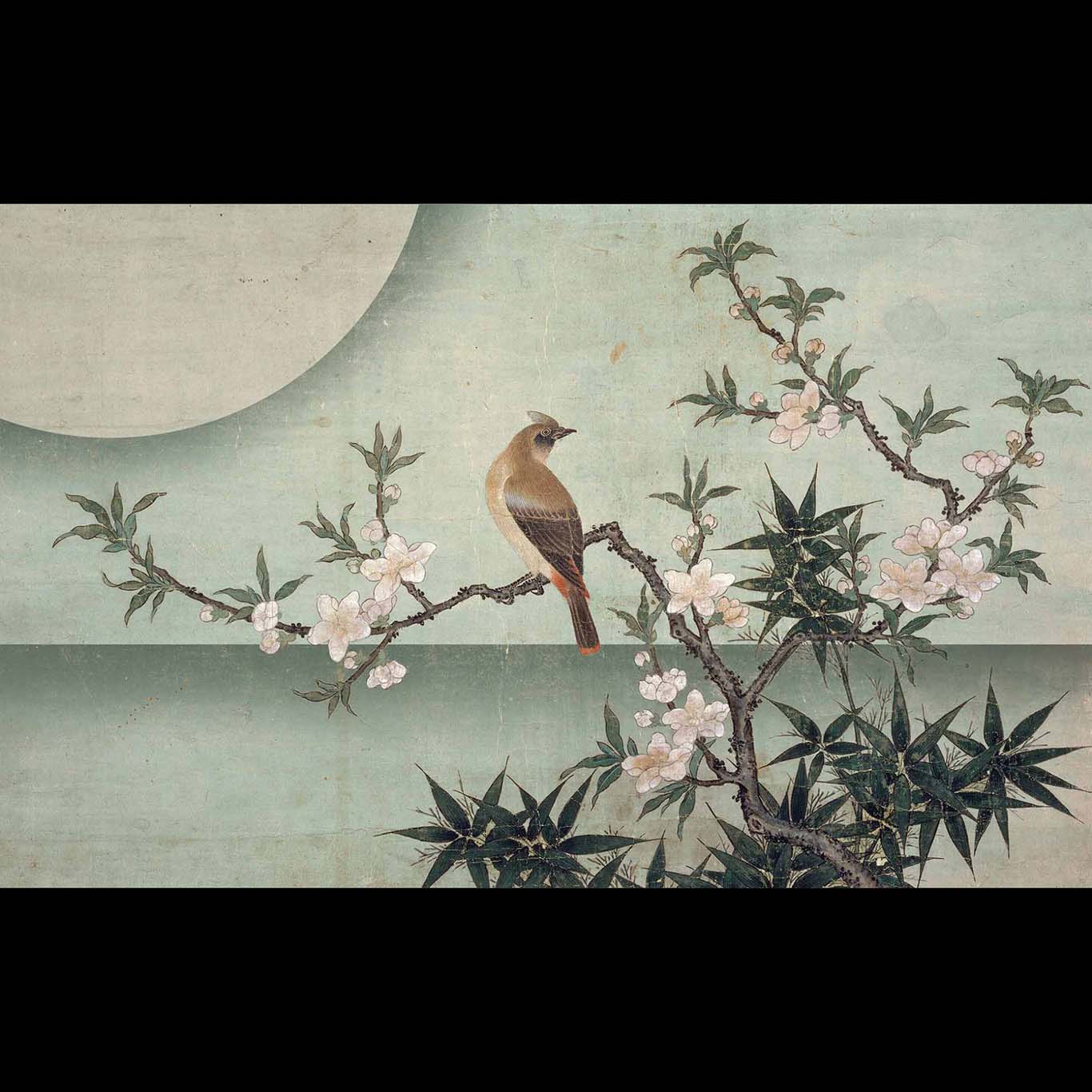 Bird peach blossom