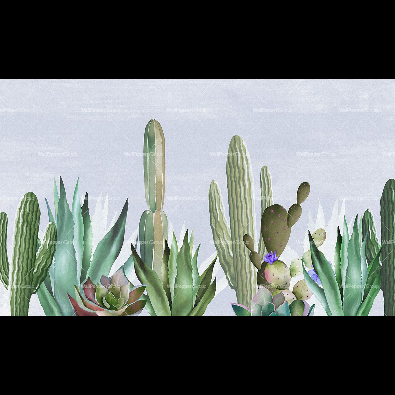Captivating cactii