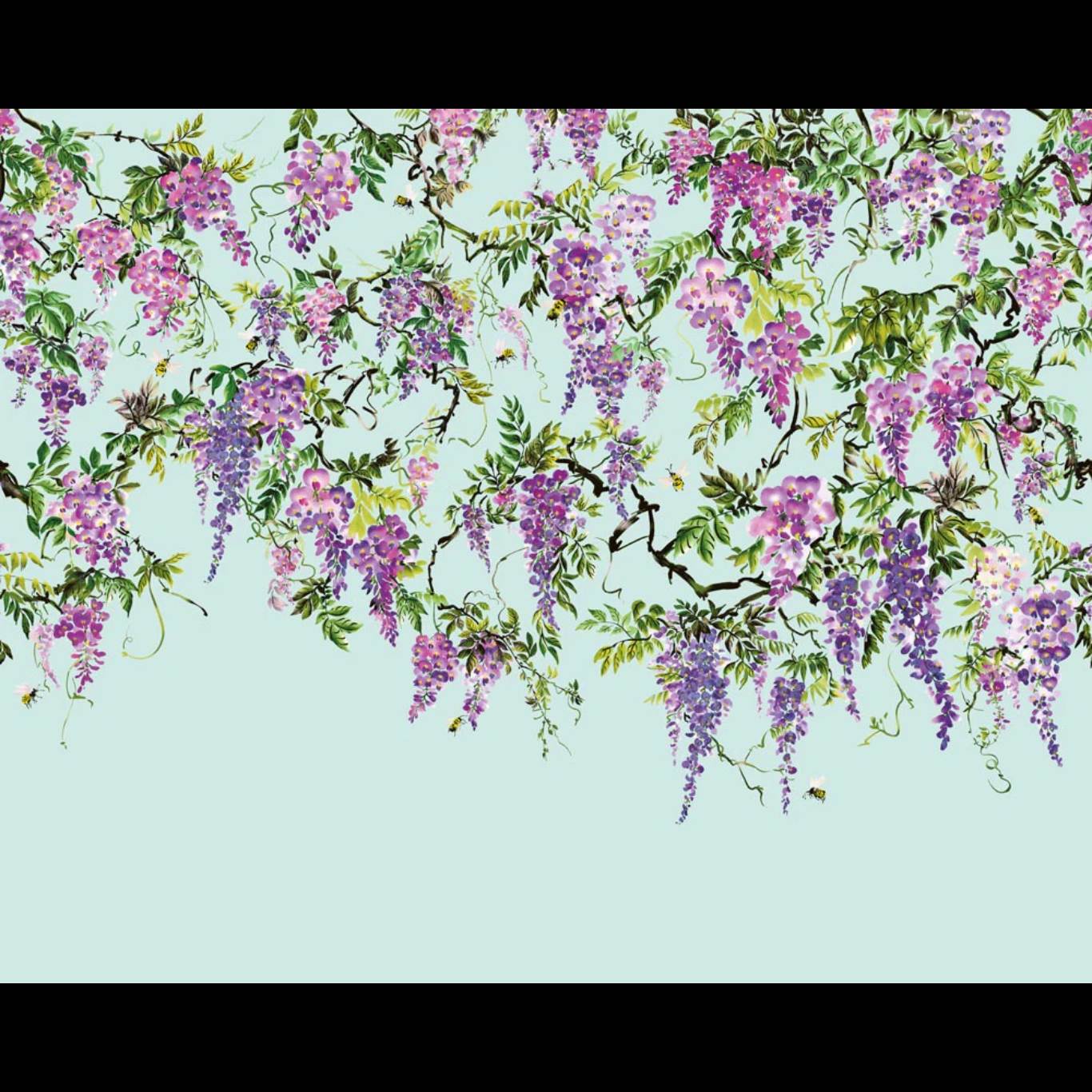 TRAILING WISTERIA