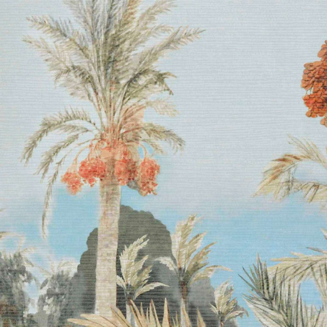 Date Palm