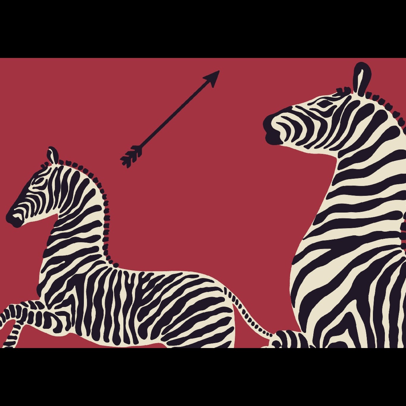 ZEBRAS