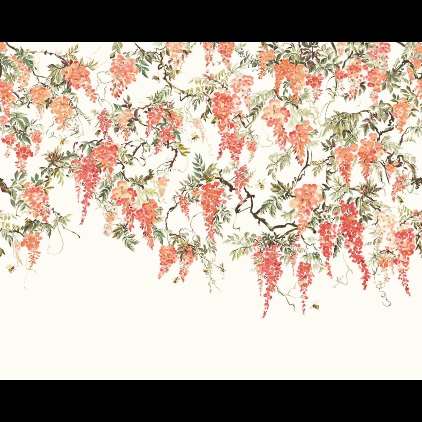 TRAILING WISTERIA