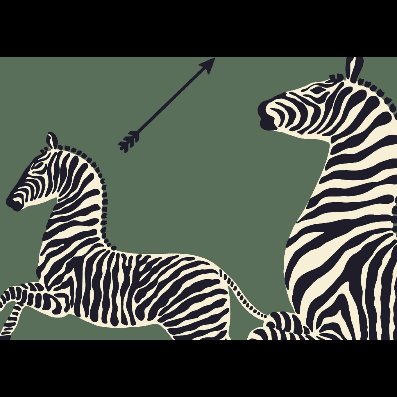 ZEBRAS
