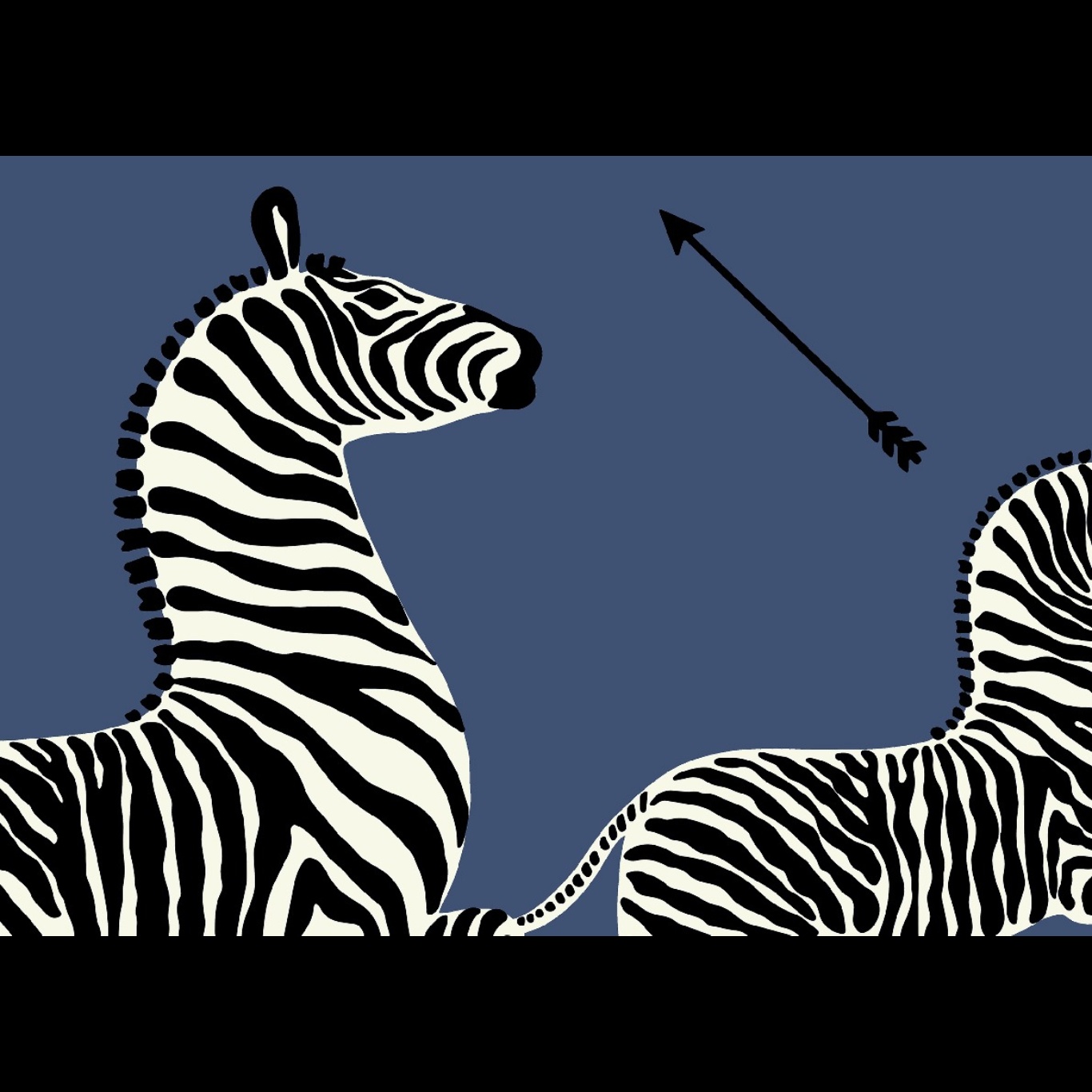 ZEBRAS