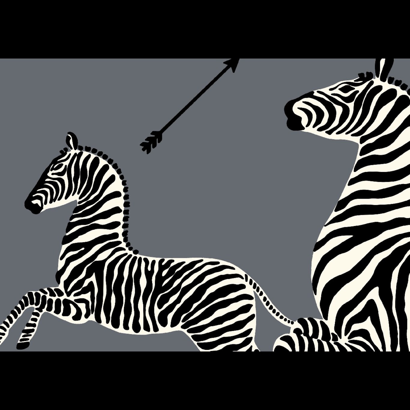 ZEBRAS