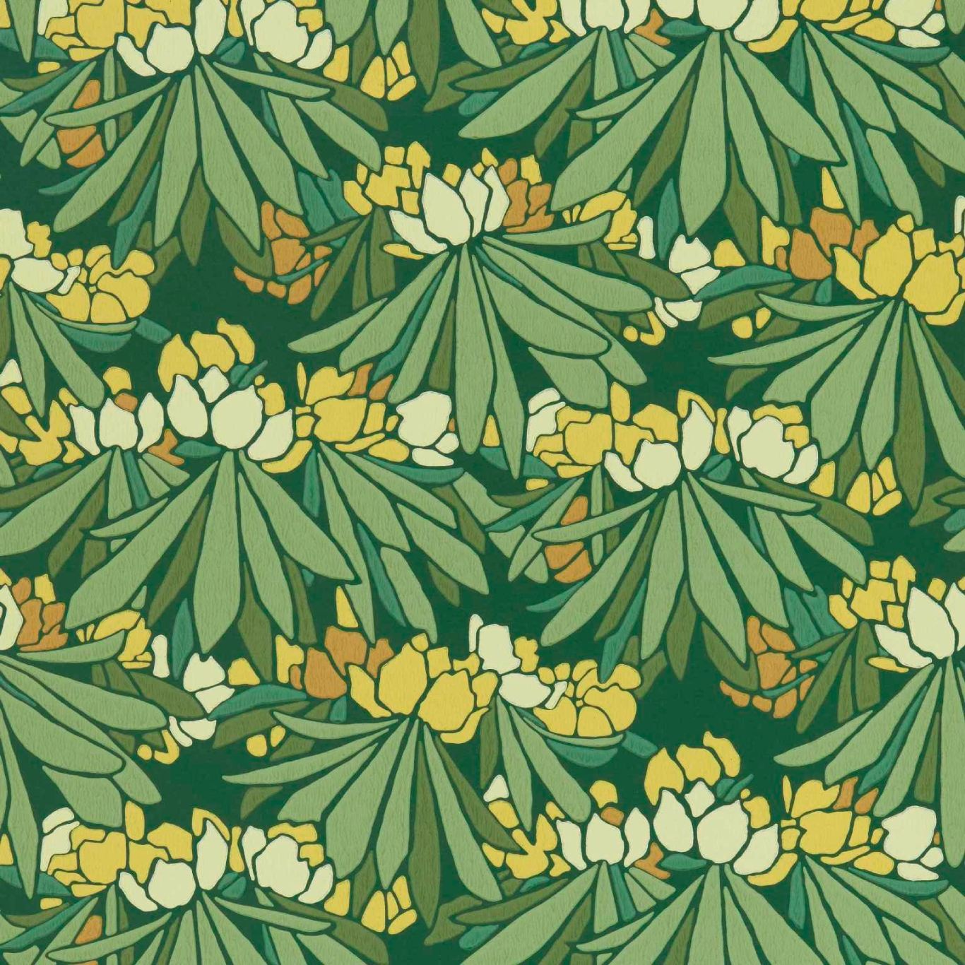 Rhododendron
