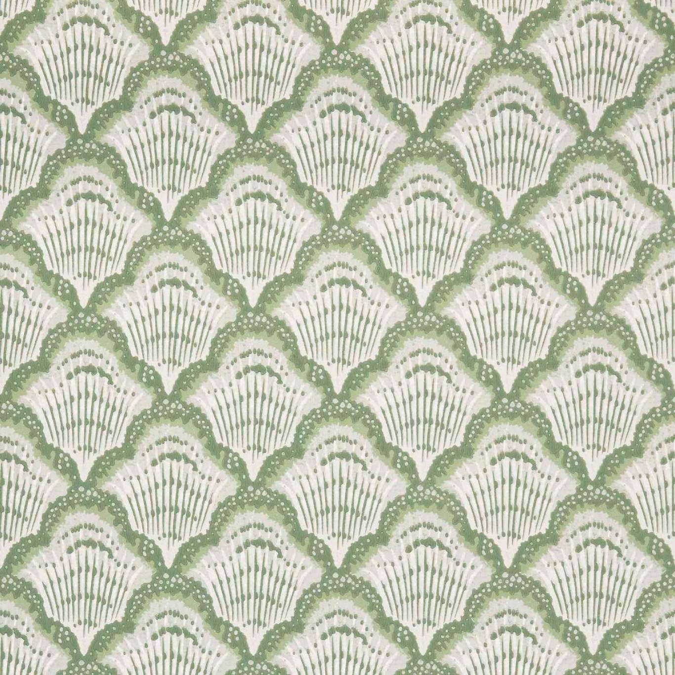 Calico Shell