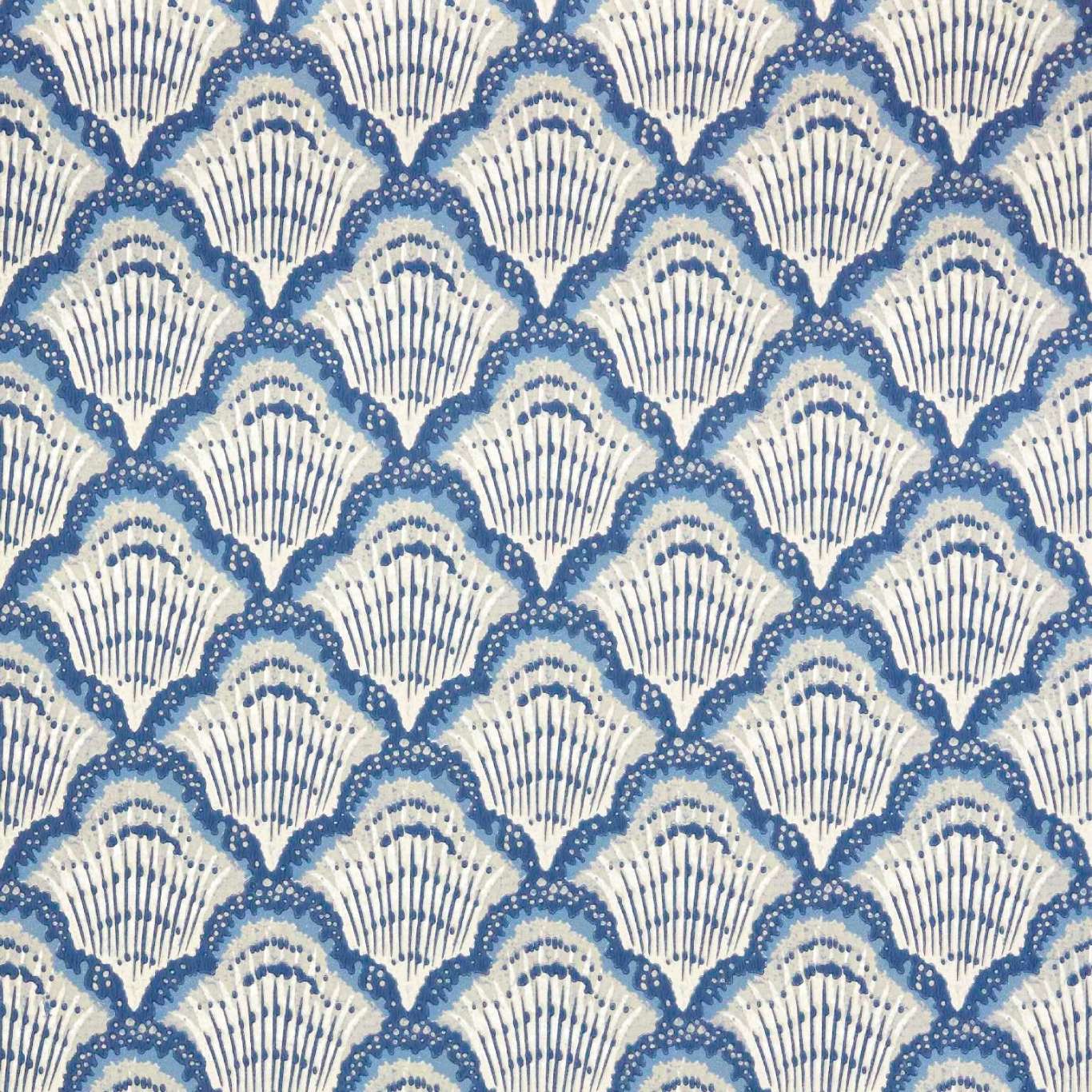 Calico Shell