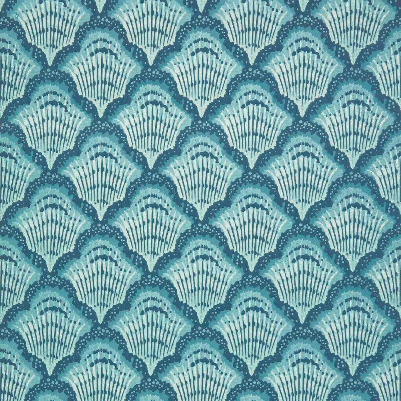 Calico Shell