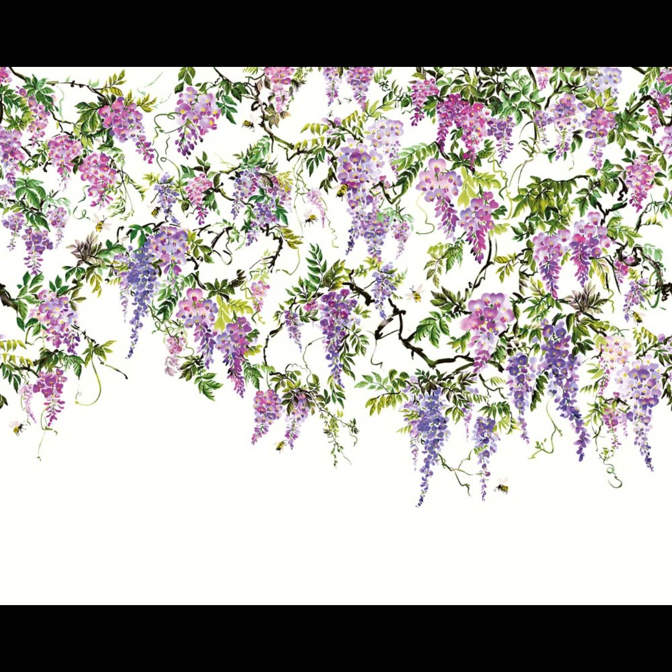 TRAILING WISTERIA