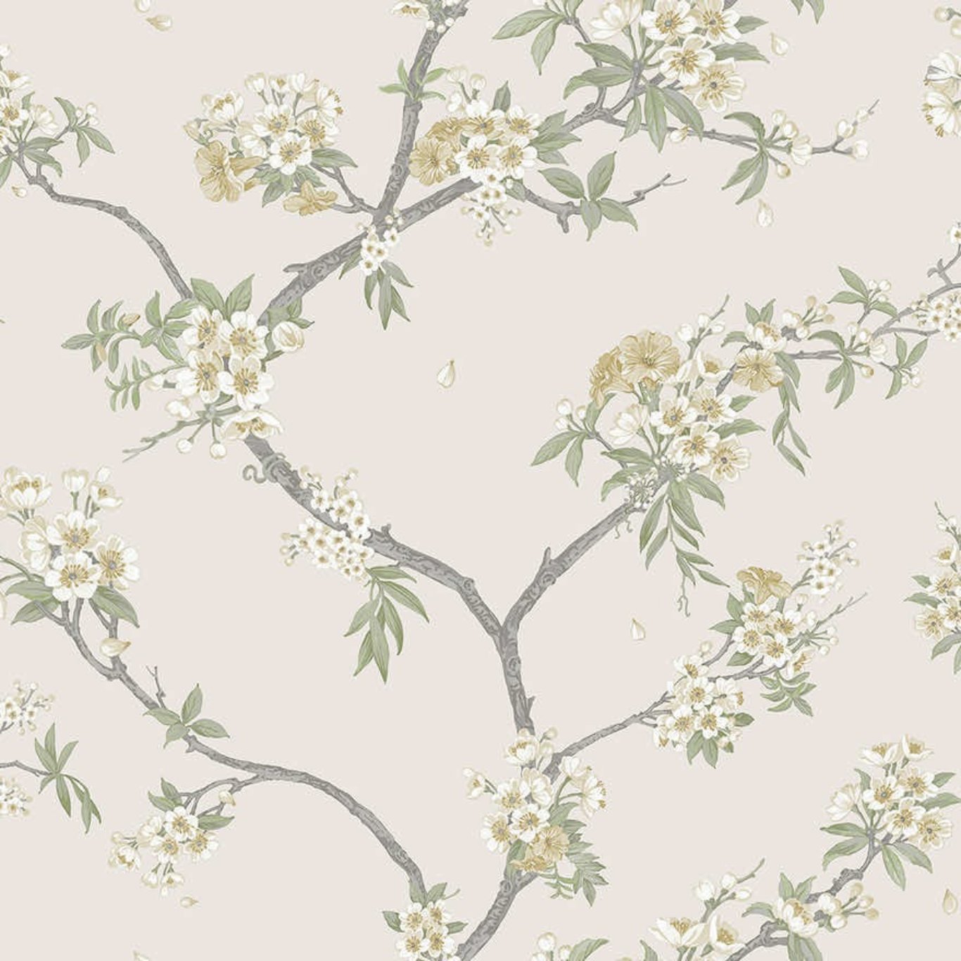 Cherry Blossom