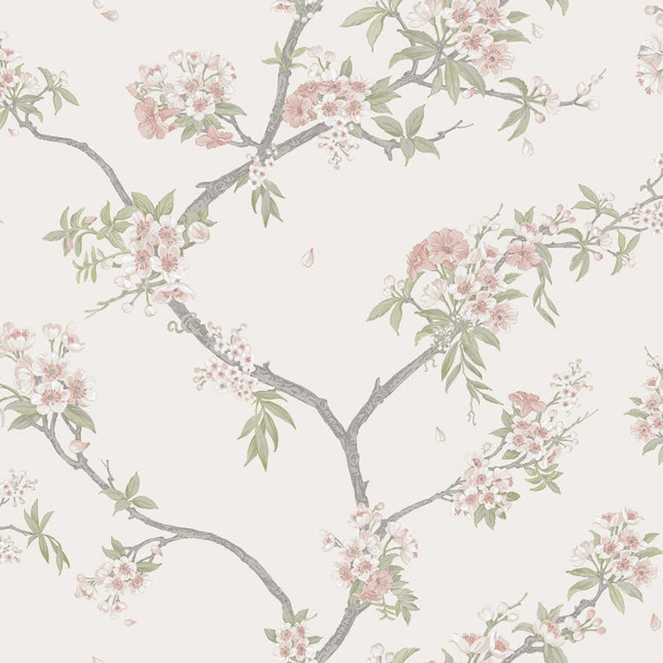 Cherry Blossom