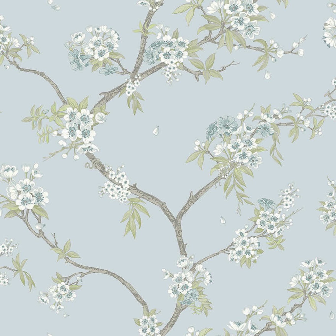 Cherry Blossom