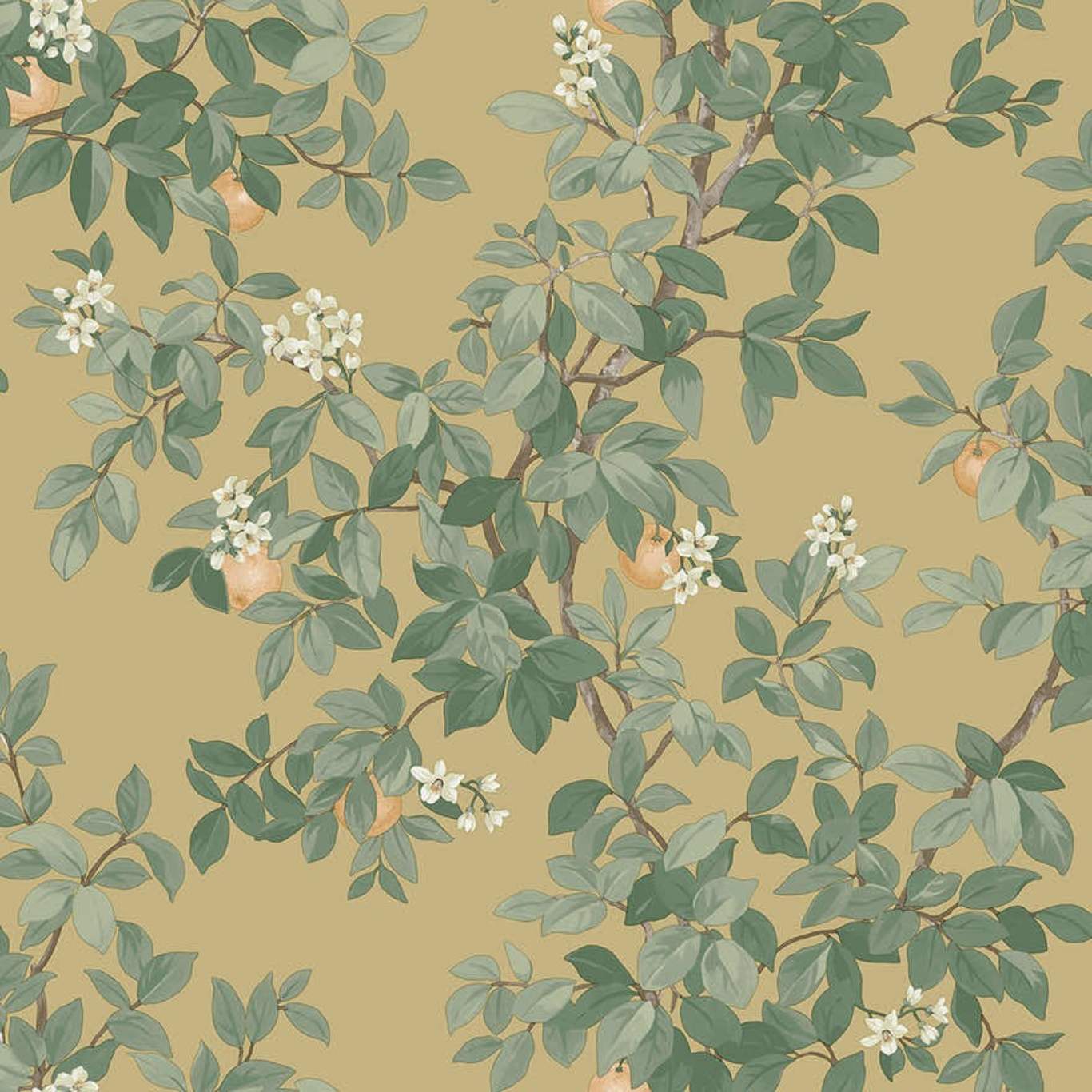 Orange Tree
