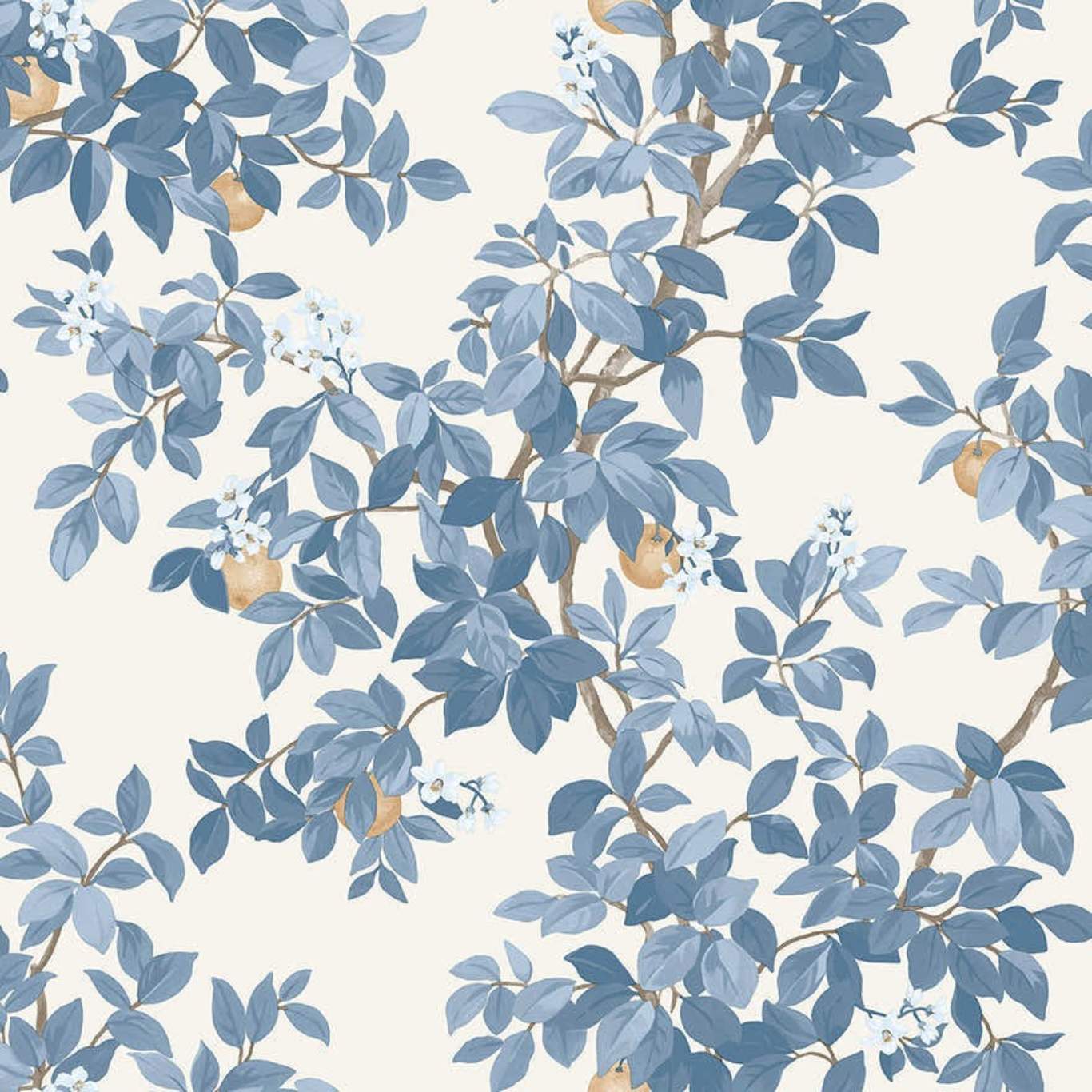 Orange Tree