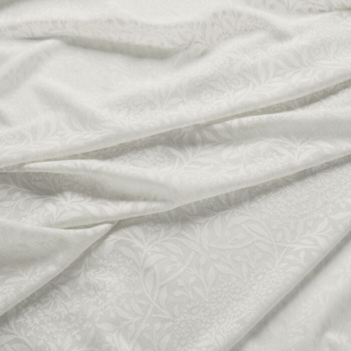 Michaelmas Daisy Sheer