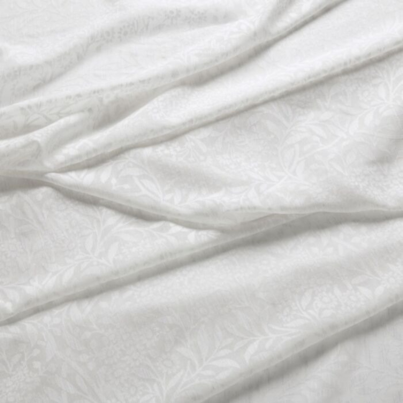 Michaelmas Daisy Sheer